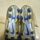 마이다스레전드 이미지