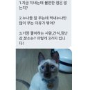 민트커뮤니케이션