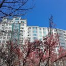 율하체육공원 축구장 | 2026 율하체육공원 홍매화 박주영축구장 육상트랙 전면개방 시범운영