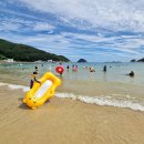 송정솔바람해변1 이미지