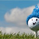 크렉스포츠클럽 이미지