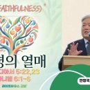 성령의 열매 강해 ⑦ / 충성(Faithfulness) (갈라디아서 5:22, 23; 다니엘 6:1~6) 이미지