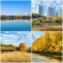 장미공원C | 산책 - 일산호수공원 가을풍경