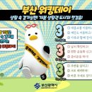 욜로 - 당진시 | 욜로