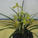 대천체육관 이미지