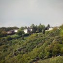 로렐라인 이미지