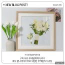 압화 | 구미 대구 부케 압화 액자 후기 예식 끝나자마자 바로 픽업한 부케 말리기 과정