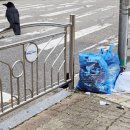 공공용 48 이미지