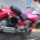 데이스타 이미지