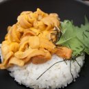 도안초밥