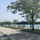 오호리 | 엄마랑 둘이 떠난 후쿠오카 여행, 조용히 힐링했던 오호리공원 산책 후기