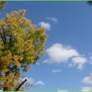 까치목장 이미지