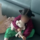 레이지데이(LAZY DAY) 이미지
