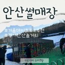 동산로 | 경기 안산 겨울 놀거리 안산 썰매장 주말 데이트 내돈내산 후기 (대기 시간, 주차, 입장료)