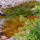 다연펜션 이미지