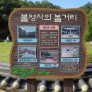 울진 여행 -2- 불영계곡 불영사(佛影寺) 이미지