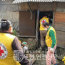 대한연탄사업 이미지