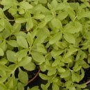 차씨축산 이미지