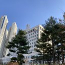 쑤니메모 2026년1월1일 이미지