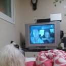 정우성농장 이미지