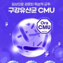 덴티플랜 | 닥터파이토 덴티백 구강유산균 꼭 자기전에 먹어야 하는 이유 (가격, 내돈내산 후기)