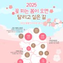 섬진강 은빛물결 펜션 지리피아 | 2025년 전국 벚꽃캠핑장 리스트