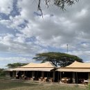 세로(SERO) | [탄자니아 신혼여행] 세렝게티 남부/은두투 숙소 Sero Tented Camp(세로 텐티드 캠프) 후기