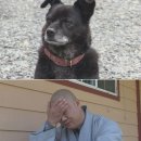 초심농장 이미지