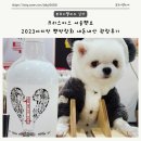 23년 마지막 펫박람회 크리스마스 서울펫쇼 세텍전시관 오픈런 내돈내산 쇼핑 후기