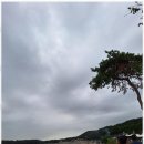 원주민원행정사사무소 이미지