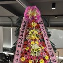 진명약국 | 클린 스포츠의 미래 - 2025 제 3회 스포츠약학회 학술제 후기