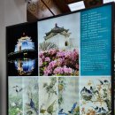 민주공원중극장 | 타이베이 2일차 일정 - 중정기념당, 동먼역 융캉제, 썬메리 펑리수, 화산1914, 지우펀