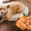 우리집 같은 민박 이미지