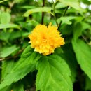 수밀농장 이미지