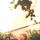 킨포크 민박 이미지