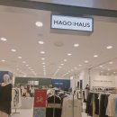 HAGO 오프라인 매장이 청주에? 현대커넥트 2층에서 브랜드 세일템 건지기
