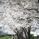 교하도서관 건너편 이미지