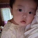 제주 조아통나무펜션 이미지