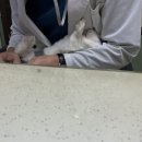 차오름동물병원 이미지