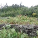 신흥보건진료소 이미지