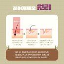 야탑 밴스의원 | 분당레이저제모 사회생활에서 큰 영향을 줄 수 있는