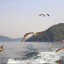 골든고속관광(주) 이미지