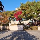 연세명인병원 네이버블로그