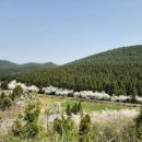 게으른 반달 이미지