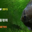 한국관상어