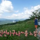 화산 공인중개사사무소 이미지