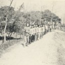 신촌초등학교 이미지