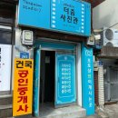더줌스튜디오 | 광주 반려동물 사진관 더줌스튜디오 개커컨셉 후기, 왕크니까 왕귀엽다! (feat. 친구돈내찍) 🐶💖