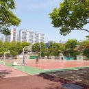 초록공원 농구장 이미지