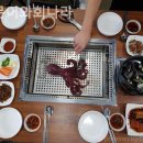 문어와 회나라